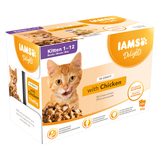 36 + 12 på köpet! 48 x 85 g IAMS våtfoder katt - Delights Kitten: Kyckling i sås