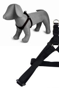 Sele i Nylon - Svart Small