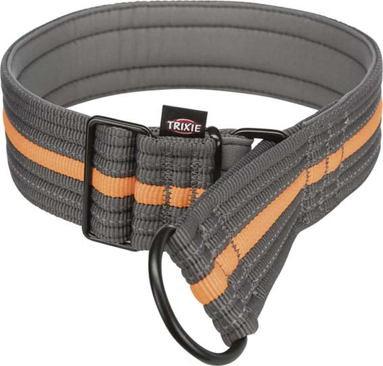 Fusion Hundhalsband Halvstryp - Papaya/Grafit / S-M