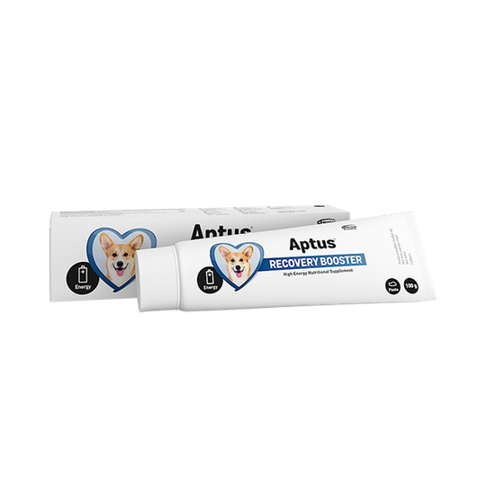 Recovery Booster Dog Fodertillskott - 100 g