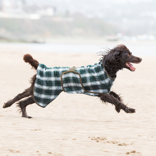 Siccaro - Splash Dog Drying Robe - Grönrutig (XS)