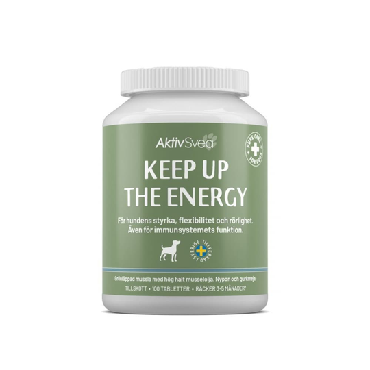 AktivSvea Keep up the Energy 100 st