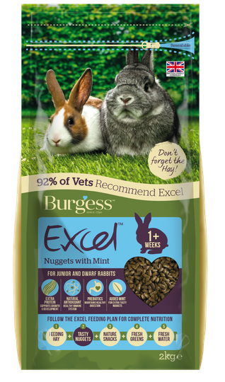 Excel Kaninfoder Mynta för Unga & Dvärgkaniner - 2 kg