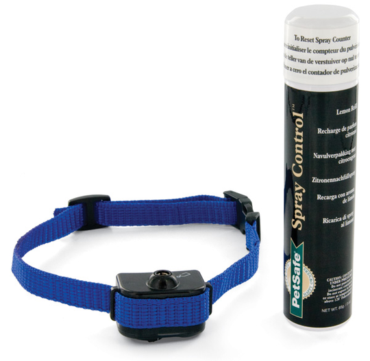 PetSafe Deluxe Little Dog Antiskällhalsband