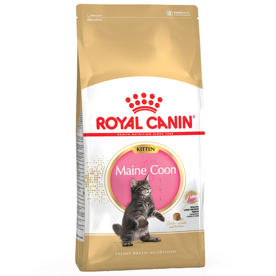Ekonomipack: 2 x Royal Canin kattfoder till lågpris - Kitten Maine Coon 36 (2 x 10 kg)