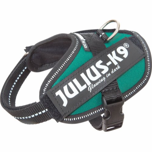 Julius-K9 IDC® Powerharness Puppy Valpsele - Petrol-green (Baby2)