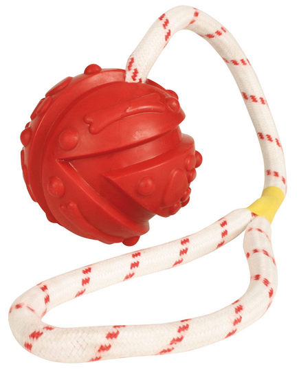 Boll på rep leksak för hund - Boll på rep