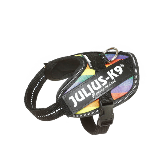 Julius-K9 IDC® Powerharness Puppy Valpsele - Rainbow (Baby2)