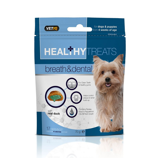Healthy Treats Dental 70g