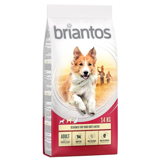 Briantos Adult Kyckling & ris - 4 x 1 kg