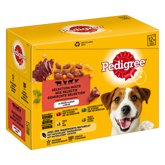 Pedigree Adult Pouch Multipack - Sauce 24 x 100 g