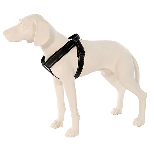 PatentoPet® Sport sele, svart - Stl. M: bröstomfång 58-71 cm