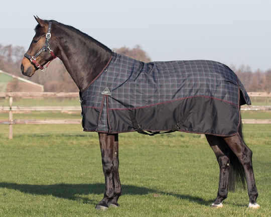 QHP Turnout Collection Utetäcke 150 g - Dotted Check (155 cm)
