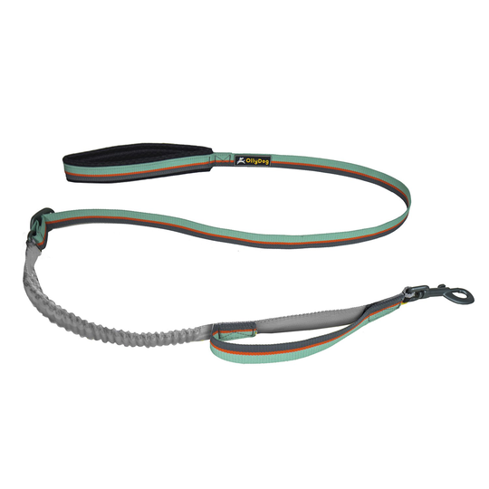 OllyDog - Flagstaff Adjustable Spring Leash hundkoppel- Surf
