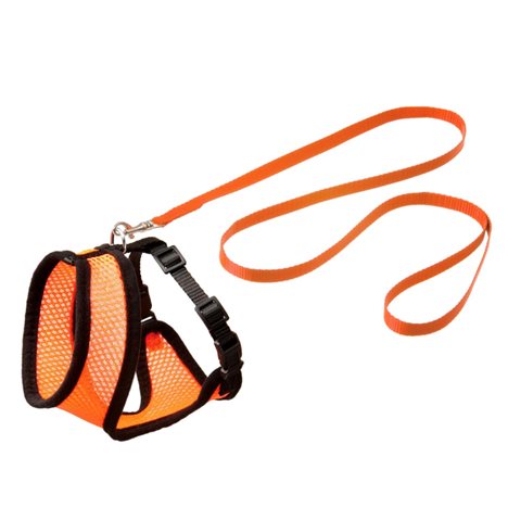 Kattsele i Mesh med Koppel - Orange