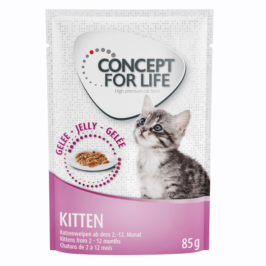Concept for Life Maine Coon Kitten - förbättrad formel! - Som tillskott: 12 x 85 g Concept for Life Kitten i gelé