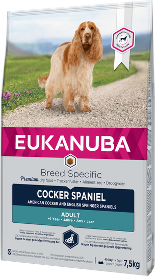 Dog Cocker - 7,5 kg