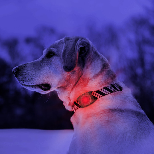 Kurgo RSG Molle Light - Säkerhetslampa till hund