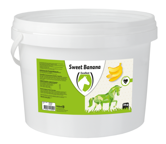 Holland Animal Care- Sweet Banana Blocks- Hästgodis