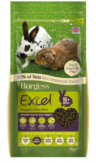 Excel Mynta Kaninfoder för Vuxna Kaniner - 2 kg