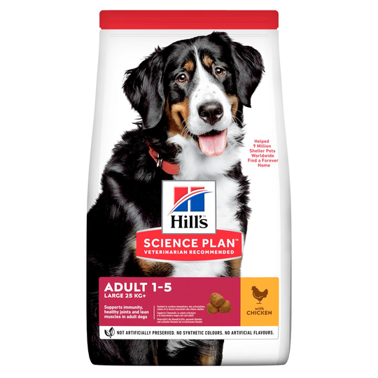 Adult Large Breed torrfoder med kyckling - 14 kg