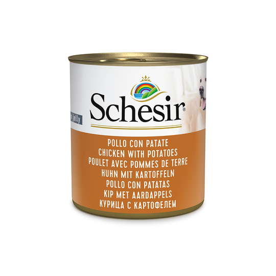 Ekonomipack: Schesir våtfoder 12 x 285 g - Kyckling & potatis