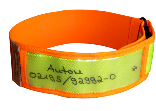 Niggeloh Reflexhalsband - Gul/Orange (XS)